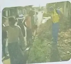 Imágenes de actividades comunitarias y autos con pitos.