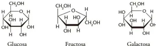 Estructuras cíclicas de la glucosa, fructosa y galactosa, mostrando la posición de los grupos -OH y -H.