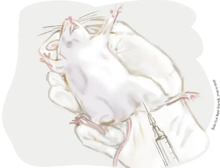 Ilustración de una mano enguantada sosteniendo un ratón blanco panza arriba, con una jeringa inyectándole el vientre. Alude a la experimentación animal.