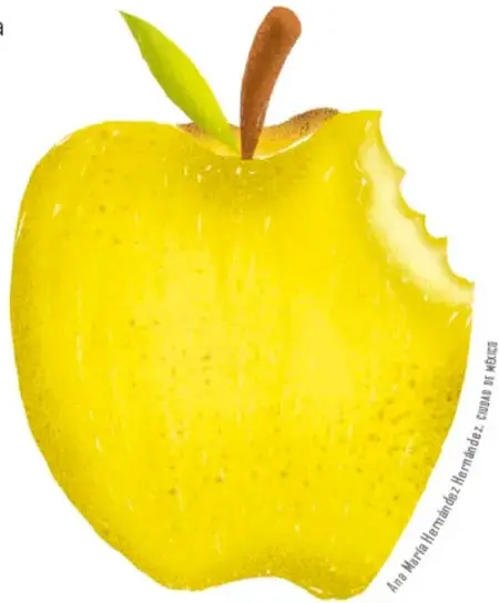Manzana amarilla mordida, ilustración de Ana María Hernández Hernández, Ciudad de México.
