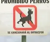 Tres señales: prohibido perros, identificación del lugar El Garrapatero y vía de evacuación por tsunami.