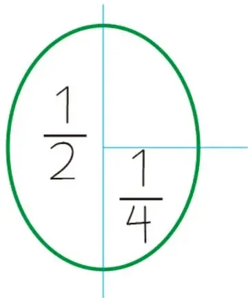Óvalo verde dividido con líneas azules en mitades y cuartos, con las etiquetas 1/2 y 1/4 escritas dentro.