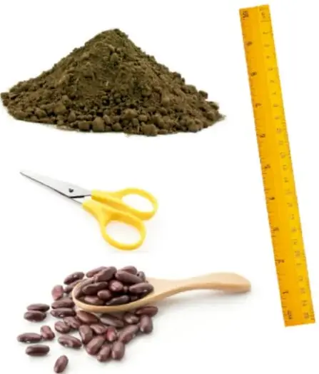 Montón de tierra, regla amarilla, tijeras y cuchara con frijoles.