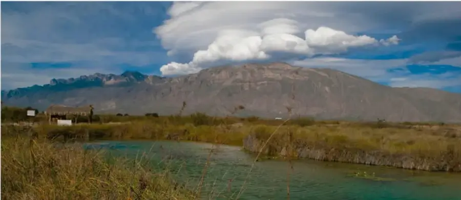 Fotografía de un paisaje natural con una laguna de aguas turquesas, vegetación acuática, matorrales secos y montañas áridas al fondo bajo un cielo con nubes, probablemente de Cuatro Ciénegas, Coahuila.