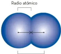 Esquema de dos átomos esféricos unidos, con una flecha que indica la distancia internuclear y otra que señala el radio atómico como la mitad de esa distancia.