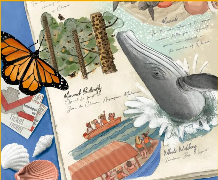 Ilustración tipo cuaderno de viaje con una mariposa monarca naranja y negra, una ballena gris emergiendo del agua, tortugas marinas, conchas, un billete de entrada a sitio arqueológico y escenas de turismo en lancha.