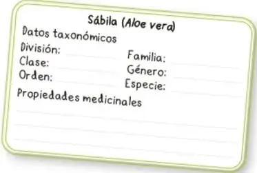 Ficha modelo de la sábila (Aloe vera) con espacios para datos taxonómicos y propiedades medicinales.