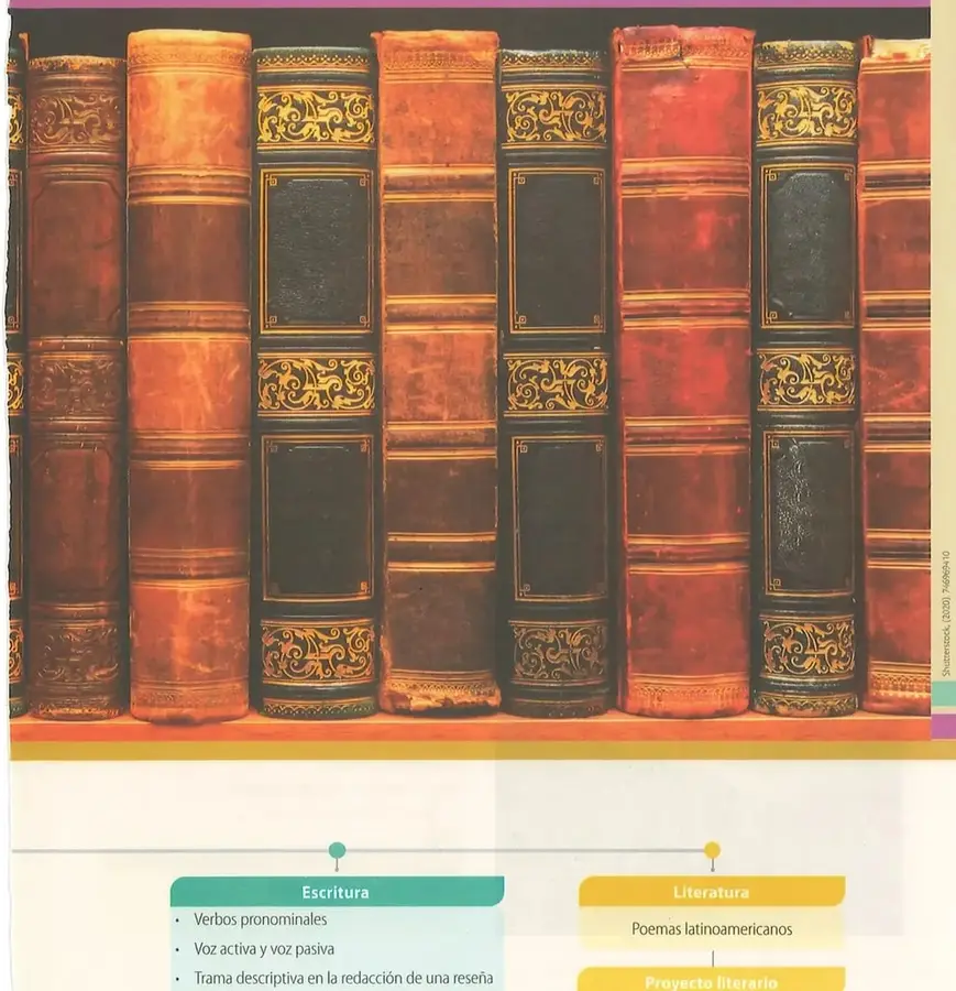 Fotografía de lomos de libros antiguos con cubiertas de cuero en tonos café-rojizo con ornamentaciones doradas. Misma imagen de la página 142. Crédito: Shutterstock (2020) 746969410.