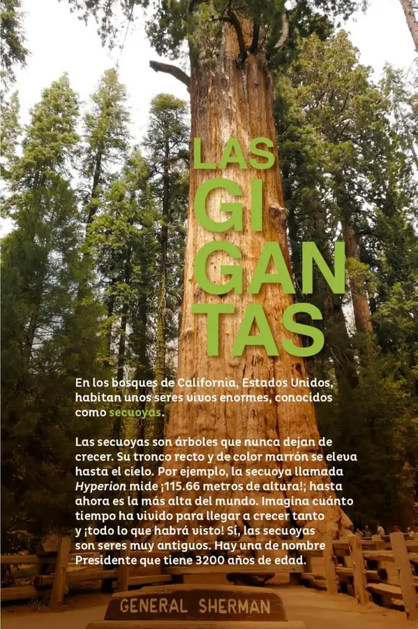 Figura 1 de Múltiples lenguajes. Libro de Educación Primaria Grado 2° Ciclo Escolar 2025 - 2026