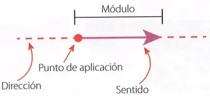 Figura 2 de Ciencias Naturales 9° · 2025
