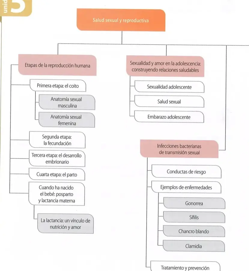 Figura 1 de Ciencias Naturales 8° · Egb 8 Ciencias Naturales 2025 · 2025