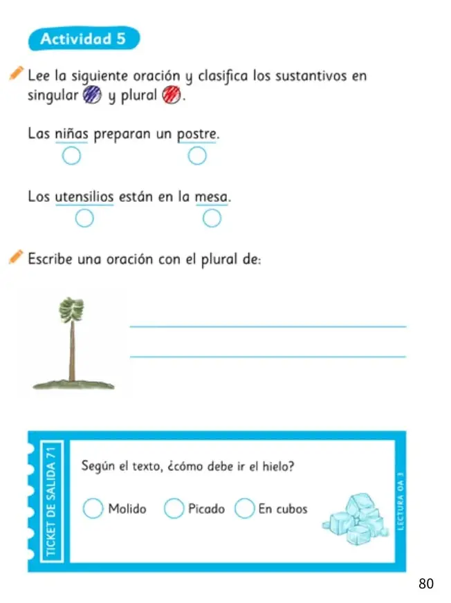 Dibujo de una araucaria, árbol nativo de Chile, usado para escribir una oración en plural.