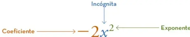 Esquema del término $-2x^{2}$ con flechas que señalan el coeficiente, la incógnita y el exponente.