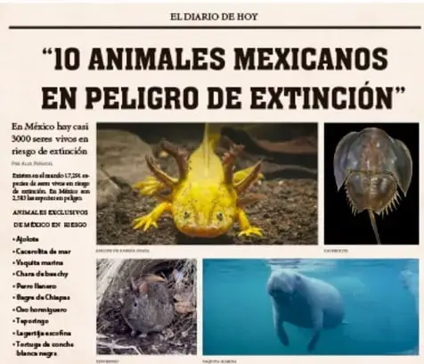 Definiciones de Título y Cuerpo de la noticia.