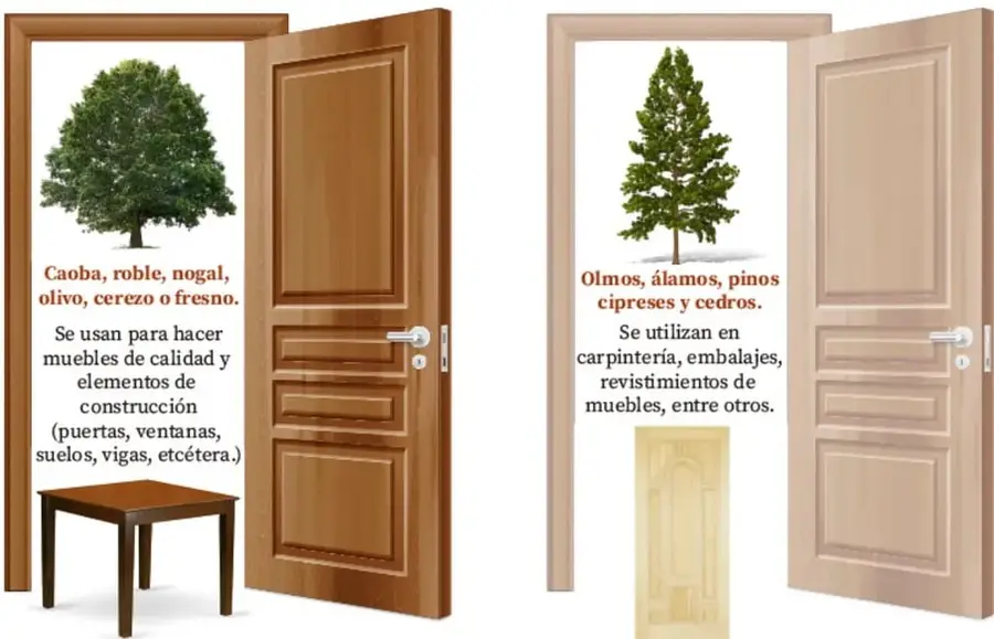 Recuadro "Maderas duras" con una puerta abierta de madera oscura, un roble frondoso, una mesa de madera y texto con ejemplos (caoba, roble, nogal, olivo, cerezo o fresno) y usos (muebles de calidad y elementos de construcción).