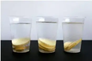 Tres vasos con tiras de papa colocadas en el fondo, una en cada solución.