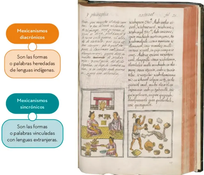 Manuscrito antiguo titulado "de las yerbas medicinales, fo. 140" con ilustraciones de plantas medicinales y texto en náhuatl.