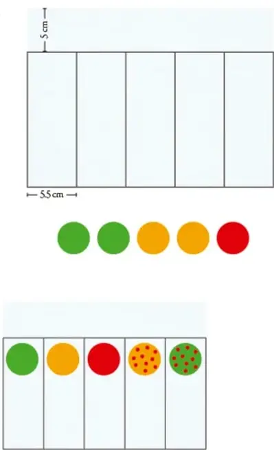 Esquema de una hoja dividida en cinco columnas iguales de 5.5 cm cada una.