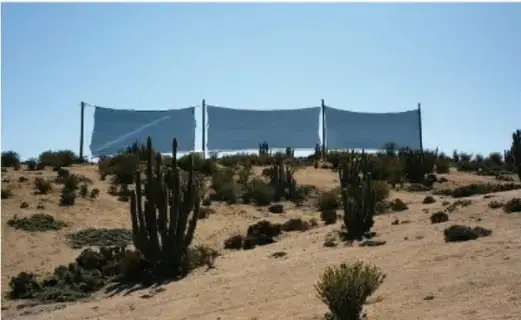 Fotografía de un paisaje desértico con cactus y tres paneles o cortinas de color azul claro instalados sobre el terreno, posiblemente relacionados con captación de energía o control de erosión.