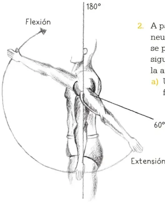 Esquema de una persona vista de perfil que muestra con flechas curvas la flexión (180°) y la extensión (60°) de la articulación del hombro.