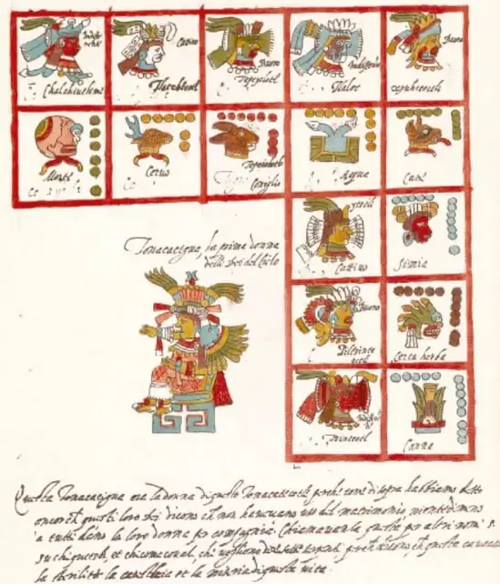 Reproducción de un códice prehispánico: recuadros con bordes rojos que contienen glifos de días, aves y figuras antropomorfas, una figura central con penacho y textos en escritura manuscrita, ilustrando la tradición gráfica de los pueblos originarios de México.