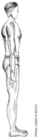 Ilustración de una persona de pie en posición neutra, vista de perfil, con los brazos a los lados y las palmas pegadas a las piernas.