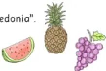 Ilustración de una sandía, una piña y un racimo de uvas, ingredientes de una macedonia de frutas.