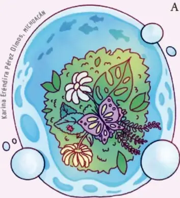 Ilustración de una gota de agua que contiene vegetación, flores y una mariposa; autora Karina Eréndira Pérez D'lnes, Michoacán.