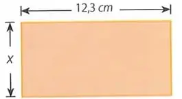 Rectángulo anaranjado con un lado horizontal de $12,3\text{ cm}$ y el lado vertical desconocido representado por $x$.