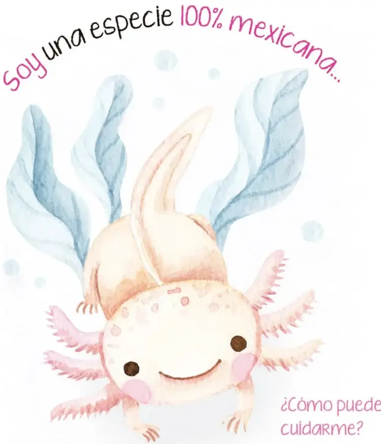 Acuarela tierna de un axolote rosa pálido sonriendo, visto de frente, con sus branquias plumosas extendidas, burbujas alrededor y la frase arqueada «Soy una especie 100% mexicana...».