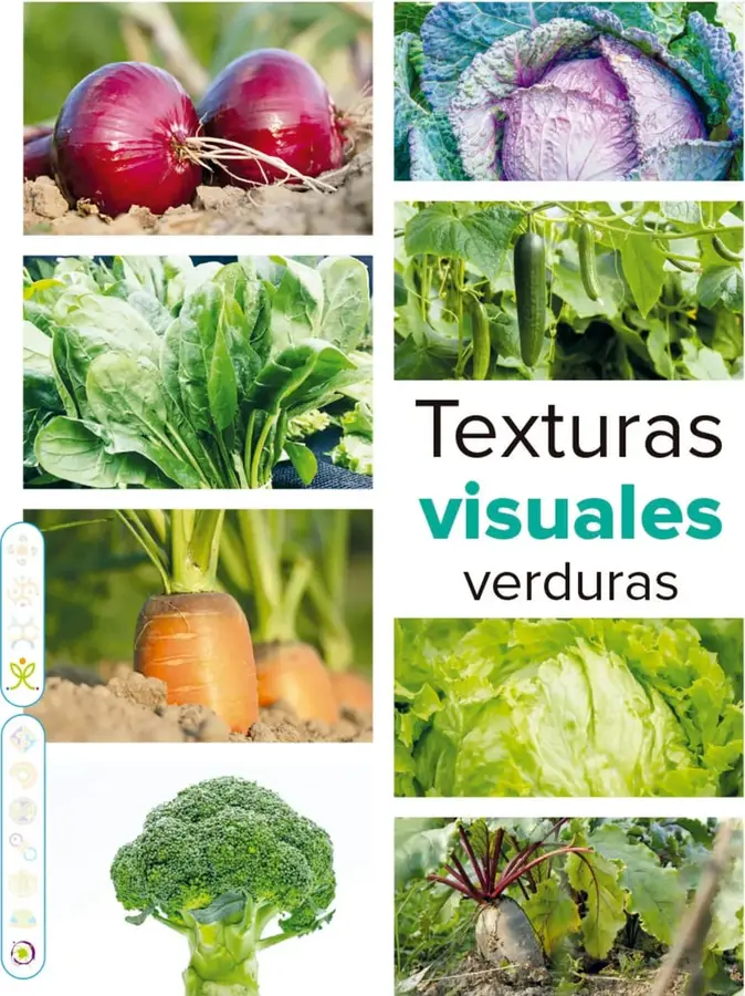Figura 1 de Múltiples lenguajes. Libro de Educación Primaria Grado 2° Ciclo Escolar 2025 - 2026