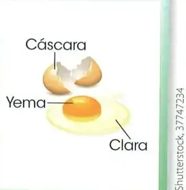Figura 3 de Ciencias Naturales 2° · Egb 2 Ciencias Naturales 2025 · 2025