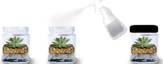 Mano atomizando agua sobre frascos con plantas.