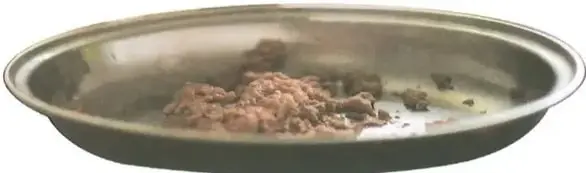 Fotografía de un plato con carne (posiblemente carne cruda o cocida en un plato de cerámica). Ilustra el ejemplo de voz pasiva 'La carne es comida por el gato'. Crédito: Shutterstock (2020) 1180009792.