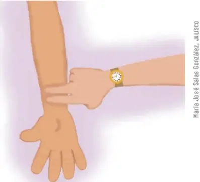 Ilustración de dos brazos: una persona toma el pulso a otra colocando los dedos índice y medio sobre la muñeca, con un reloj de pulsera visible. Crédito: María José Salas González, Jalisco.