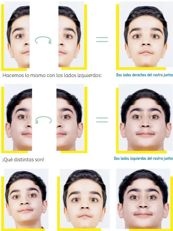 Mitad derecha del rostro y su reflejo unidos = rostro compuesto con dos lados derechos
