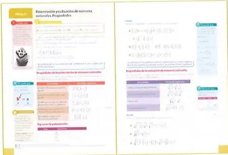 Páginas interiores que muestran contenidos, explicaciones, ejemplos y recursos visuales del libro.