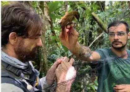Dos personas (investigadores) rescatando o liberando un ave en un entorno forestal, ilustrando el cuidado de los seres vivos.