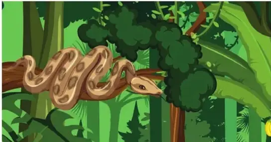 Serpiente grande enrollada en una rama de la selva.