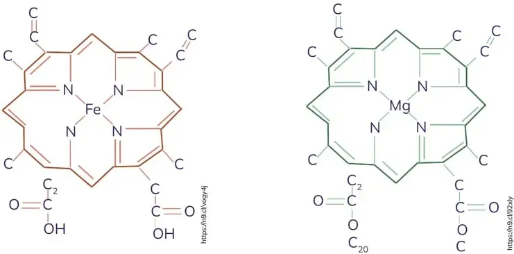 Figura 1 de Quimica 2° · Bgu 2 Quimica 2024 · 2024