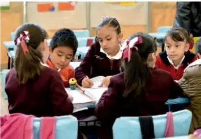 Fotografía de un grupo de estudiantes de primaria sentados alrededor de una mesa, revisando materiales y tarjetas para preparar la exposición.