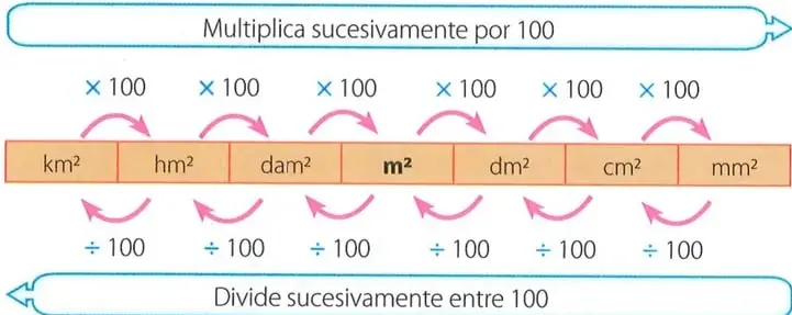 Figura 4 de Matematica 7° · 2025