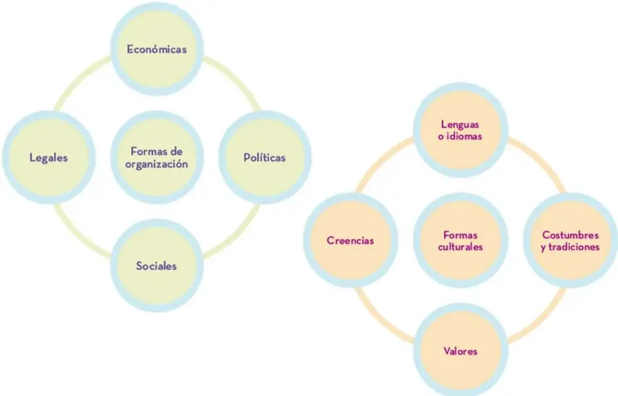 Dos organizadores circulares: a la izquierda 'Formas de organización' con nodos Económicas, Legales, Políticas y Sociales; a la derecha 'Formas culturales' con nodos Lenguas o idiomas, Creencias, Costumbres y tradiciones, y Valores.