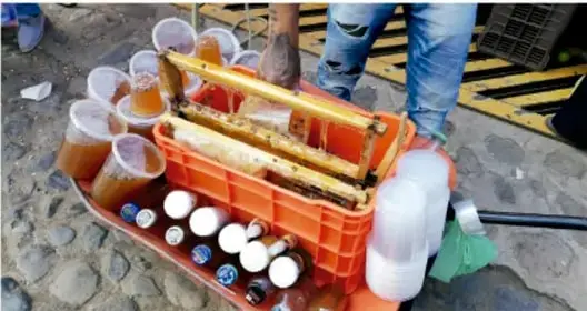 Recipientes transparentes y frascos de miel de distintos tamaños colocados sobre bandejas naranjas en una mesa, listos para su venta. Representa la etapa de comercialización.
