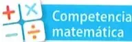 Figura 3 de Matematica 7° · 2025