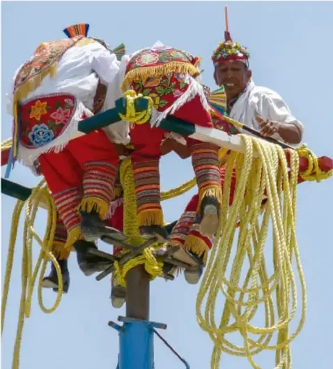 Fotografía de un evento tradicional: un participante con vestimenta colorida y ornamentos sobre una estructura con cuerdas, posiblemente una danza o ritual comunitario tradicional mexicano.
