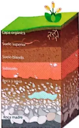 Imágenes ilustrativas de suelos arenoso, arcilloso, humífero, calizo y pedregoso.