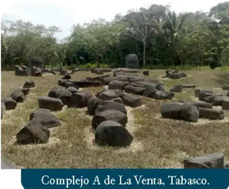 Manos sosteniendo semillas de cacao.