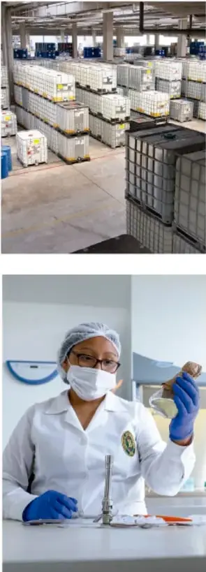 Interior de una planta industrial con contenedores blancos y azules de gran tamaño dispuestos en filas, correspondiente al proceso de producción de pulpa de celulosa.