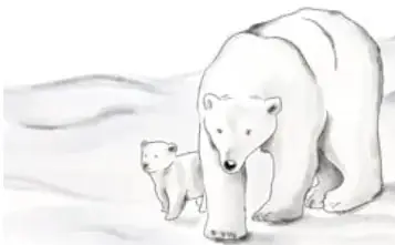 Ilustración de una osa polar adulta caminando sobre el hielo junto a su cría.